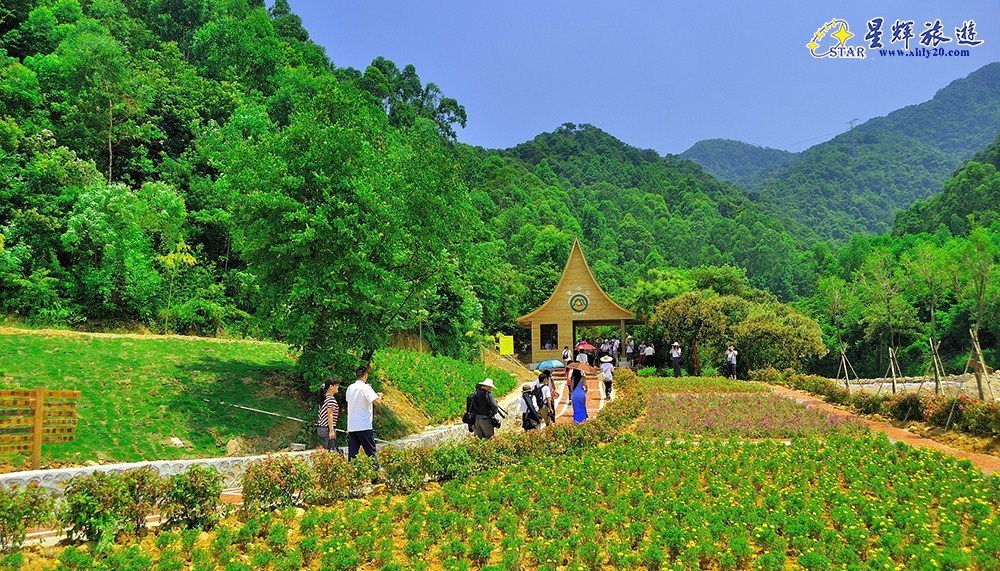 门票_(佛山)三水南丹山森林王国_佛山佛山景点门票_星辉国际旅游网